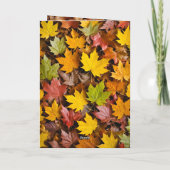 Carte d'action de grâces d'automne amusante (Dos)