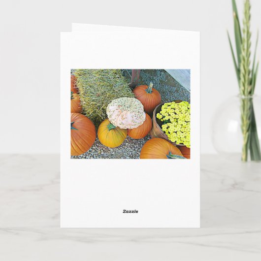 Carte d'affichage Halloween Fall Citrouilles et Co (Dos)