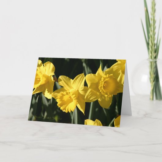 Carte Daffodil 023 (Devant)