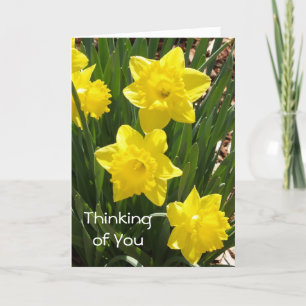 Carte Daffodil "Pensez à vous"