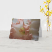 Carte Daffodile (Fleur jaune)