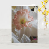 Carte Daffodile (Fleur jaune)