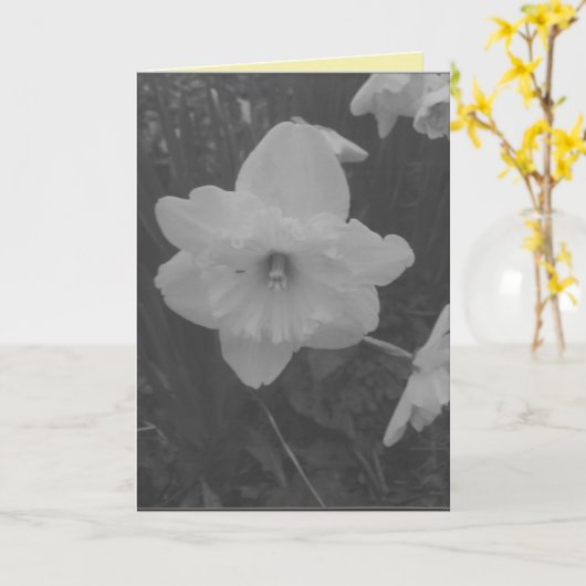 Carte Daffodile sauvage (Fleur jaune)