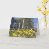 Carte Daffodiles de printemps Columbus Circle New York C (Fleur jaune)