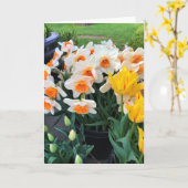 Carte Daffodils et tulips, Oregon (Fleur jaune)