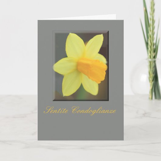 Carte Daffodique Jaune Sympathie Italienne (Devant)