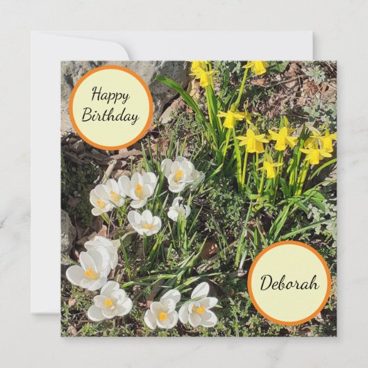 Carte Daffodiques et Crocus Flat Birthday Card (Devant)