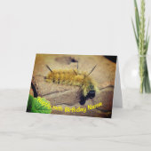 Carte Dagger Moth Caterpillar Anniversaire personnalisé (Devant)