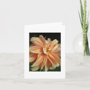 Carte Dahlia
