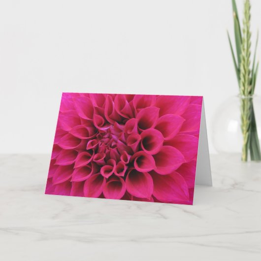 Carte Dahlia (Devant)