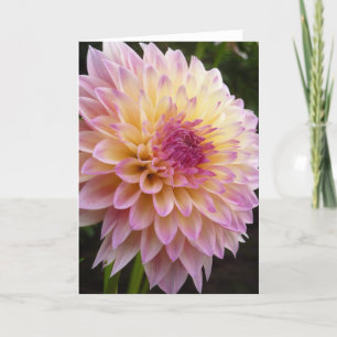 Carte Dahlia