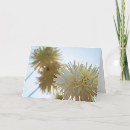 Carte Dahlia blanche Joyeuse Hanoukka (Devant)
