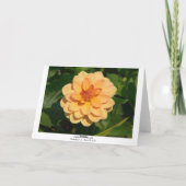 Carte Dahlia 'David Howard' (bordé) (Dos)