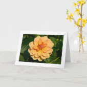 Carte Dahlia 'David Howard' (bordé) (Fleur jaune)