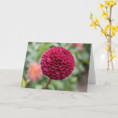 Carte Dahlia Fuschia (Fleur jaune)