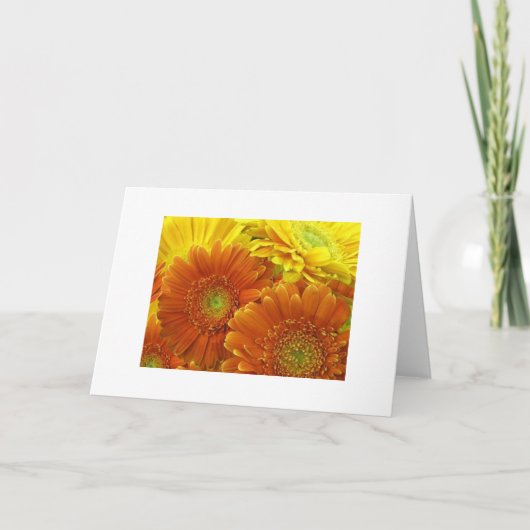 Carte "Dahlias rouge et jaune et orange" (Devant)