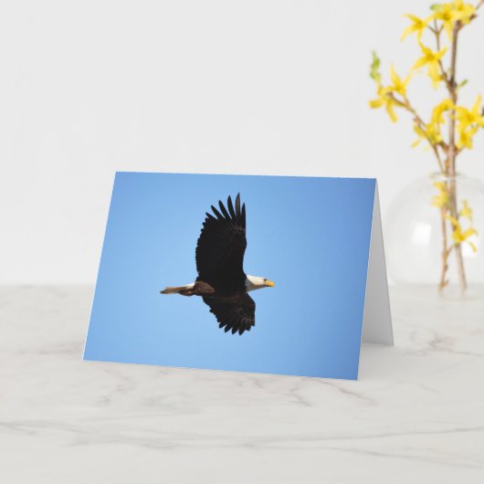 Carte d'aigle (Fleur jaune)