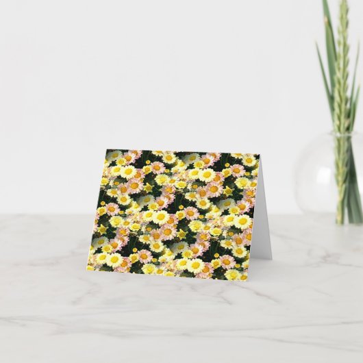 Carte Daisies Galore...... (Devant)