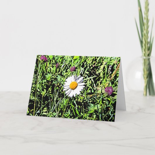 Carte Daisy (Devant)