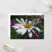 Carte Daisy and Fireweed Wildflower (Devant/Arrière en situation)