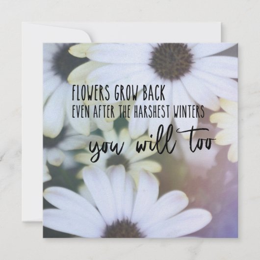 Carte DAISY BELL 5.25 x 5.25 (Devant)