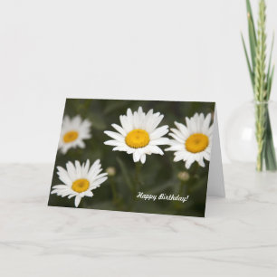 Carte Daisy Daisy