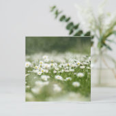 Carte Daisy Meadow (Debout devant)