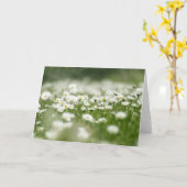 Carte Daisy Meadow (Fleur jaune)