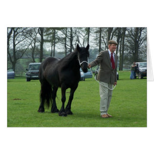 Carte Dales Pony