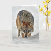 Carte d'alignement de loup (Fleur jaune)