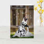 Carte Dalmate avec des bulles (Fleur jaune)