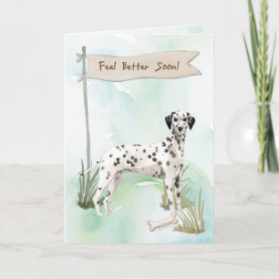 Carte Dalmatie se sentent mieux après la chirurgie avec