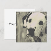 Carte Dalmatien (Devant / Derrière)