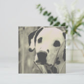 Carte Dalmatien (Debout devant)