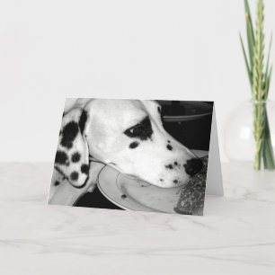 Carte Dalmation précieux