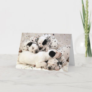 Carte Dalmation_Puppies