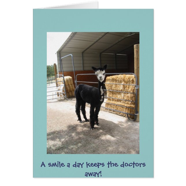 carte d'alpaga (Devant)