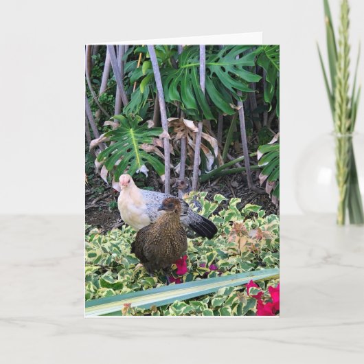 Carte Dames tropicales (Devant)