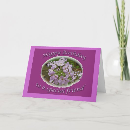 Carte d'ami d'anniversaire de Phlox de Lavendar (Devant)