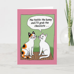 Carte d'amie chat plan secret