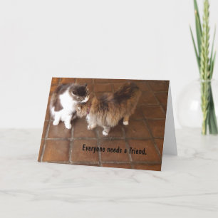 Carte d'amitié, chats d'établissement vinicole de