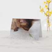 Carte d'amitié de chat et de sauterelle (Fleur jaune)