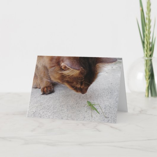 Carte d'amitié de chat et de sauterelle (Devant)