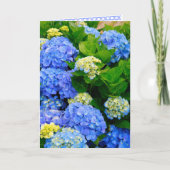 Carte d'amitié Hydrangeas (Devant)
