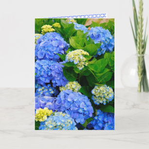 Carte d'amitié Hydrangeas