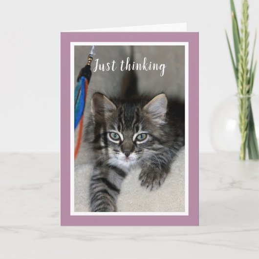 Carte d'amitié joueuse Kitten (Devant)