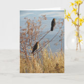 Carte d'amitié - Oiseaux Jardins - Grackles (Fleur jaune)