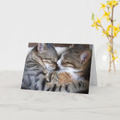 Carte d'amour de chat (Fleur jaune)