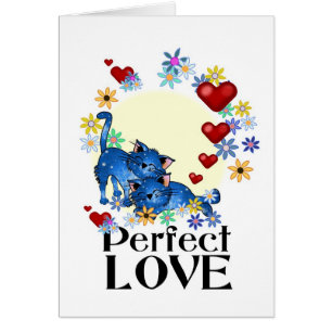 Carte d'amour de chat