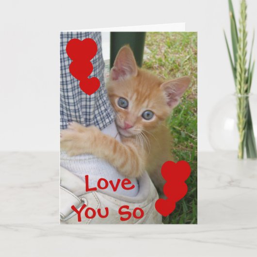 Carte d'amour de Kitten Dax (Devant)